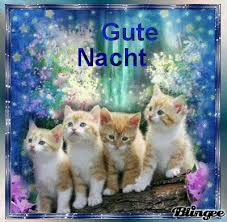 Hier findest du die besten bilder, fotos und gifs zum thema schönen abend. Gute Nacht Bilder Kostenlos Gif Gbpicsbilder Com