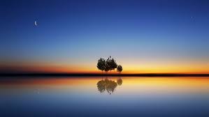 Moon rise sun moon moon setting trees celestial sunset outdoor outdoors tree structure. Reflection Moon Water Night Horizon Lake Nature Sky Moonlight Calm Hd Wallpaper Wallpaperbetter