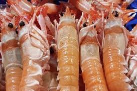 Este procedimiento consigue que el alimento preserve su. Cocer Cigalas Tiempo Coccion Cigalas Frescas Y Congeladas