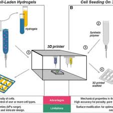 Check spelling or type a new query. Pdf Cell Laden 3d Printed Scaffolds For Bone Tissue Engineering