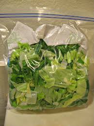 Fresh Lettuce Food Hacks Healthy Recipes Food