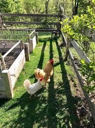 15 Lovely Homestead Farm Garden Layout And Design Ideas Gardens Gardendesign Gardenideas Gardeningplansd Farm Layout Garden Layout Homestead Garden Layout