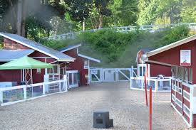 Petting zoos that are part of working farms (see family fun farms) are not mentioned in the following list. Forest Park Review Everett Wa Free Petting Zoo Spray Water Play Much More Thrifty Nw Mom Zoo Animals Zoo Woodland Park Zoo