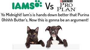 iams vs purina pro plan 2019 which pet food gets fur st place