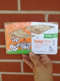 Image result for chilean sphagnum moss