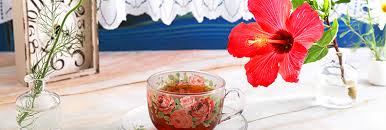 Check spelling or type a new query. How To Make Tea 4 Other Fun Things To Do With Hibiscus Plants For All Seasons Since 1973
