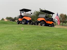 Two Is Better Than One In 2020 Custom Golf Carts Golf Carts Custom Golf