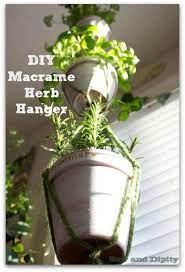 Easy Diy Macrame Hanger Vertical Garden Diy Macrame Plant Hanger Macrame Diy