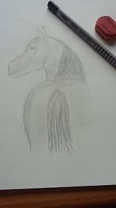 Pferd Zeichnen Bleistift Pferde Zeichnen Zeichnen Zeichnungen