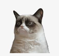 Discover 126 free cat meme png images with transparent backgrounds. Grumpy Cat Clipart Transparent Grumpy Cat Meme Png Png Image Transparent Png Free Download On Seekpng