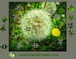 Brainsbreaker allows creating and playing jigsaw puzzles on your computer with realistic pictures and many features for a very comfortable way of operation. Redoing Gift Puzzles With Your Own Options Free Jigsaw Puzzles Gifts Puzzles