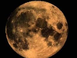 Santana Flor De Luna Fases De La Luna Luna Planetas