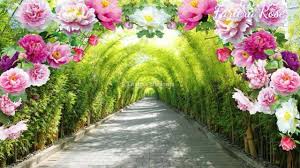 (intro) am g f e. Fariera Rose Shila Amzah Tiada Dirimu Lyrics Video Facebook