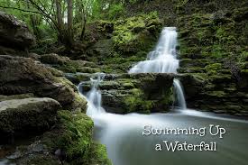 Waterfalls are graceful monuments to nature's power. Swimming Up A Waterfall Growing 4 Life