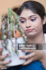 Melody High-Res Stock Photo