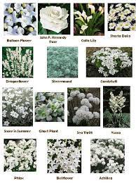 Plants For The White Garden Planting And Gardening Moon Garden White Plants White Gardens