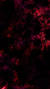 Ultra Hd Black And Red Wallpaper 4k