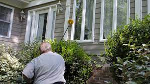 See more ideas about pest control, pests, garden pests. Is Pest Control Service Still Effective If Only Done On The Exterior Of The Home Clegg S