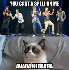 Cats are always known for their smart minds, and they especially attracted us by there cuteness. Trendy Funny Clean Memes Cats Ideas In 2021 Funny Cat Memes Cat Memes Clean Super Funny Memes