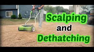 After ridding the lawn of chinch bugs, reseed the patches. Scalping And Dethatching After Killing The Lawn Lawn Renovation Step 3 Youtube