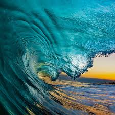 Larry Beard (@larrybeard) • Instagram photos and videos