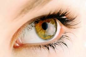 8 Interesting Facts About Hazel Eye Color You Should Know