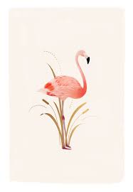 A New Era Begins Back With You Shortly Flamingo Illustration Flamingo Art Illustration