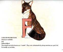 Falkland Islands Wolf Alphabet My Books Cobb