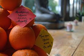 Shop at amazon fashion for a wide selection of clothing, shoes, jewelry and watches for both men and women at amazon.com. 2020 Lunar New Year Parallel Verses Plum Village