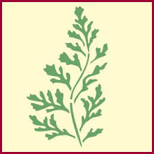 Fern 2 Stencil Fern Border Stencil Plant And Fern Stencils Fern Stencil Stencil Diy Stencils Wall Ferns