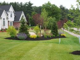938fd49e56d42de6183622d955a84468 Jpg 735 551 Front Yard Landscaping Design Home Landscaping Privacy Landscaping