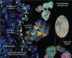 The cards are pieces to two of the proofs (statements and reasons). Protein Crystallization Promotes Type 2 Immunity And Is Reversible By Antibody Treatment Science