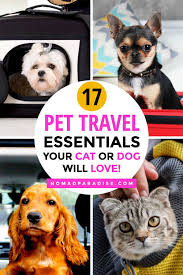 17 Essential Pet Travel Accessories For A Stress Free Trip With Your Beloved Pet Nomad Paradise Pet Travel Accessories Pet Travel Dog Travel Accessories