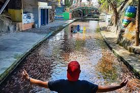 Apakah ada ikan sakti di sungai jernih / surgaku di sungai: Unik Watergong Klaten Punya Sungai Jernih Penuh Ikan Seperti Di Jepang Halaman All Kompas Com