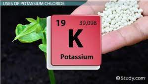 What Is Potassium Chloride Uses Formula Side Effects Video Lesson Transcript Study Com
