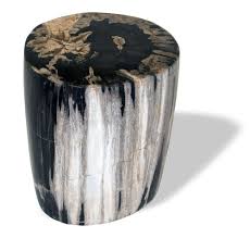 Maybe you would like to learn more about one of these? Contemporary Stool Sku 524 Unik Petrified Wood Commercial Bathroom