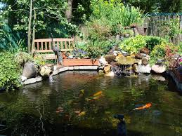 Maybe you would like to learn more about one of these? The Koi S Pound Japanese Koi Pond Koi Pond Water Garden