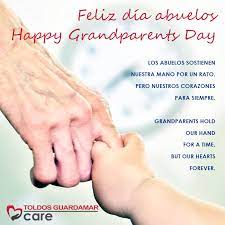 We did not find results for: Toldos Guardamar Wishes To Vindicate The Essential Role Of Grandparents In Families