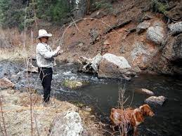 The regulations in this table apply to fishing on the great lakes for the following species: The Creeks Of Rainbow Falls Mountain Trout Youtube