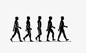 Silhouettes Of People Walking Sealless Material Silhouette People Walking Cartoon Walking Silhouette