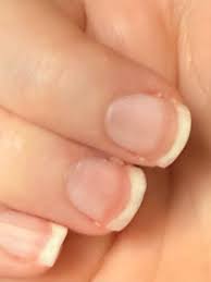 Image result for Mees Line