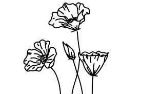 Sunflower wood burning prettynstoned $ 40.00 free shipping add to favorites custom wood burning patterns: Inspiration The Burn Club Blog Wood Burn Corner