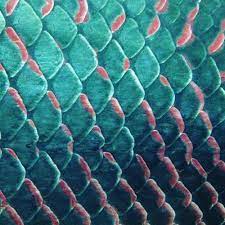 Mermaid Image Fish Scale Tattoo Fish Scales Patterns In Nature