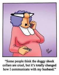 Pin By Mary Ruthven On Funny Cartoon Jokes Funny Toons Pinterest Humor
