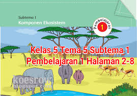 Kunci Jawaban Kelas 5 Tema 5 Halaman 2 4 6 7 8 Buku Tematik Subtema 1 Judul Komponen Ekosistem Topiktrend