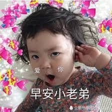 早安猫猫表情包 Google 搜索in 2020 Baby Face Cute Face
