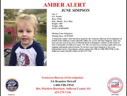 In lansing township, state police said in the amber alert. Amber Alert Cancelled After Missing Sullivan County Girl Found Safe Wkrn News 2
