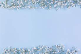 Download White Baby Breath S Flower Border On Blue Background With Copy Space For Writing The Text For Free Flower Border Pink And White Background Flower Backgrounds