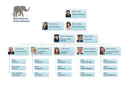 Org Chart Examples From Orgchartpro Com