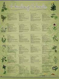 Healing Herb Chart Medicinal Herbs Herbalism Healing Herbs